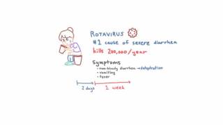 Rotavirus  Epidemiology Clinical Presentation and Prevention [upl. by Mccully166]