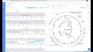 Benchling Restriction Enzyme Digest [upl. by Habas]