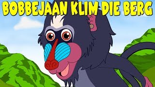 Bobbejaan Klim die Berg  Afrikaans Traditional Song for kids  Afrikaanse Kinderliedjies [upl. by Laup]