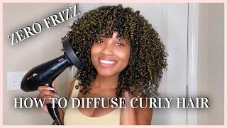 How To Diffuse Natural Curly Hair  NO FRIZZ  Tips amp Tricks [upl. by Sidnal428]