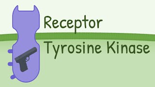 Receptor Tyrosine Kinase  MAPK Pathway [upl. by Nyvrem]