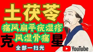 土茯苓是如何做到的 ？痛风 ：扁平疣 ： 湿疹：瘙痒 ： 风湿骨痛： 梅毒：淋病：汞中毒全部一扫光 [upl. by Santiago]