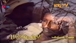 መንእሰይ  ተስፋይ መሓሪ ፍሒራ  menesay  Tesfay Mehari Fihira  Eritrean Music  ERiTV [upl. by Akinohs766]