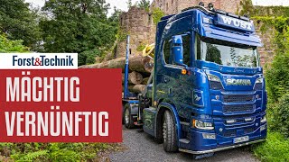 Scania R770 im Holztransport Mächtig vernünftig [upl. by Danete]