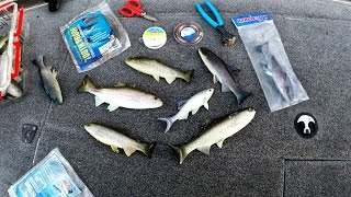 How To Rig Swimbaits The BEST Way Youve NEVER Heard Of [upl. by Acimad]