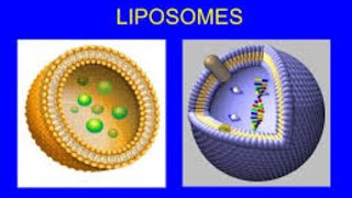 Liposomal Drug Delivery System [upl. by Barden]