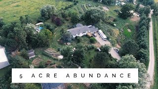 the 5 Acre Permaculture Homestead  Unbelievable Abundance [upl. by Navillus]