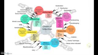 The Infection Control CycleCycle of Infection [upl. by Jezebel]