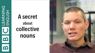 A secret about collective nouns  English In A Minute [upl. by Eetak]