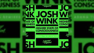 Josh Wink  Higher State Of Consciousness Adana Twins Remix Two Official Audio [upl. by Ebbarta]