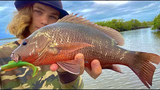 Fishing for MANGROVE JACK  Catch amp Cook Shark Fishing [upl. by Aicele]