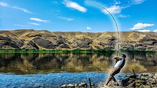 Bank Fishing for River Monsters  Columbia River Washington [upl. by Homerus]