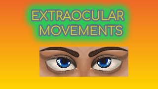 Ocular Movements [upl. by Tioneb]