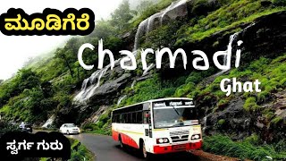 Places To Visit Near Mudigere  ಮೂಡಿಗೆರೆ  Chikkamagaluru [upl. by Ketty]