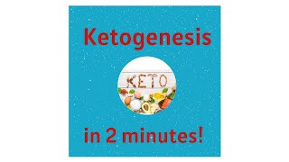 Ketogenesis and Ketones in 2 minutes [upl. by Ylrebmik788]