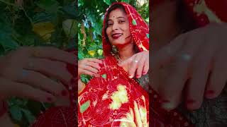 Yaar mat ja bollywood song love hindisong music bollywoodsongs [upl. by Daffy722]