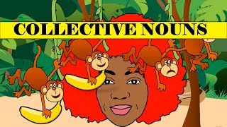 COLLECTIVE NOUNS AND EXAMPLES [upl. by Ehcor]