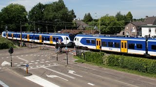 RailCam Road and Rail Crossing MierloHout Netherlands [upl. by Byrom]