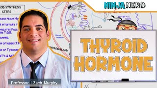 Endocrine  Parathyroid  Hyperparathyroidism vs Hypo for NCLEX [upl. by Ehcor]