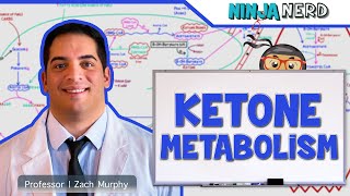 Metabolism  Ketone Metabolism [upl. by Lyndsay616]