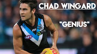 Chad Wingard quotGeniusquot [upl. by Eilssel284]