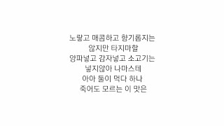 LYRICS 노라조NORAZO  카레CURRY [upl. by Ylrae704]