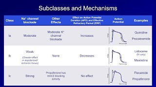 Antiarrhythmics Lesson 2  Sodium Channel Blockers [upl. by Nayb]