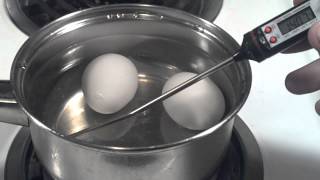 How to Pasteurize Eggs at home [upl. by Philipa]