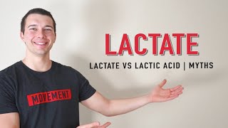 Lactate vs Lactic Acid Explained  Muscle Physiology [upl. by Nwaf598]