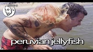 Peruvian Jellyfish Stunt  SteveO [upl. by Chic]