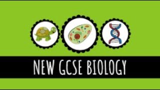 Pathogens and Disease  91 GCSE Biology [upl. by Vonnie3]