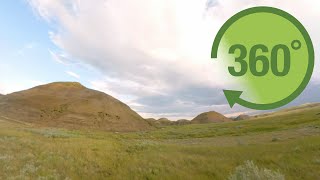 Grasslands in 360 [upl. by Esinnej]