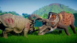 Triceratops vs Sinoceratops Herd Fighting Over Territory  Jurassic World Evolution Dinosaurs Battle [upl. by Peder]