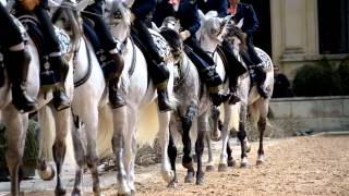 Cómo bailan los caballos andaluces [upl. by Wandie]