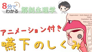 嚥下のしくみ（アニメーション付き）【8分でわかる解剖生理学】 [upl. by Paola37]