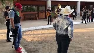 ASI SON LAS FIESTAS DE NARCOS EN SINALOA • MÉXICO 🇲🇽 [upl. by Lerim848]