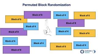 Randomization random allocation [upl. by Betthezel]