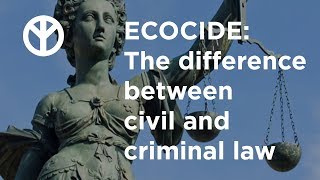 STOP ECOCIDE Civil vs Criminal Law [upl. by Malamut]