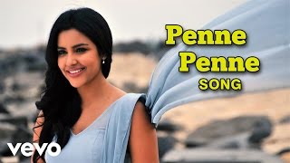 Penne Nee Enn Kanavil  Mappila Malayalam Album  Tajmahal  Anwar [upl. by Donata]