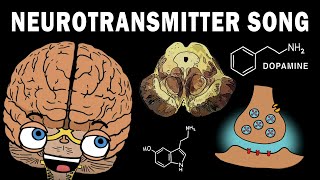 THE NEUROTRANSMITTER SONG [upl. by Annam]