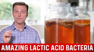 Lactic Acid Bacteria and Fermented Foods Benefits – DrBerg [upl. by Aietal632]