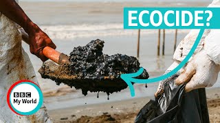 What is Ecocide Should killing nature be an international crime  BBC My World shorts [upl. by Ettelloc]