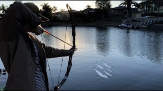 BOWFISHING mullet Catch n Cook [upl. by Schuler]