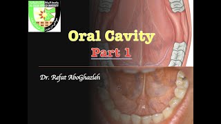 Oral Cavity  Part 1 [upl. by Melisa]