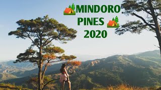 MINDORO PINES 2020 l SOBRANG GANDA [upl. by Eirena]