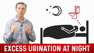 How to Fix Frequent Urination at Night Nocturia – Dr Berg [upl. by Cris]