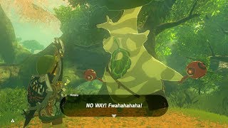 Zelda BOTW Collecting All 900 Koroks Seeds Before Talking To Hestu Master Mode [upl. by Kcim]