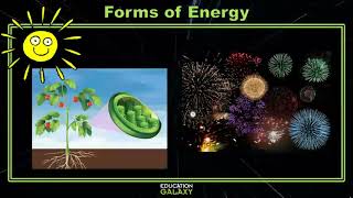 4th Grade  Science  Forms of Energy  Topic Overview [upl. by Odnavres314]