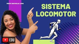 Sistema Locomotor esqueleto e músculos [upl. by Iyre569]