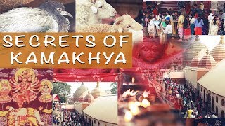 Secrets of Kamakhya Temple  Documentary  Amartya Saha  Amos Entertainment [upl. by Laicram]